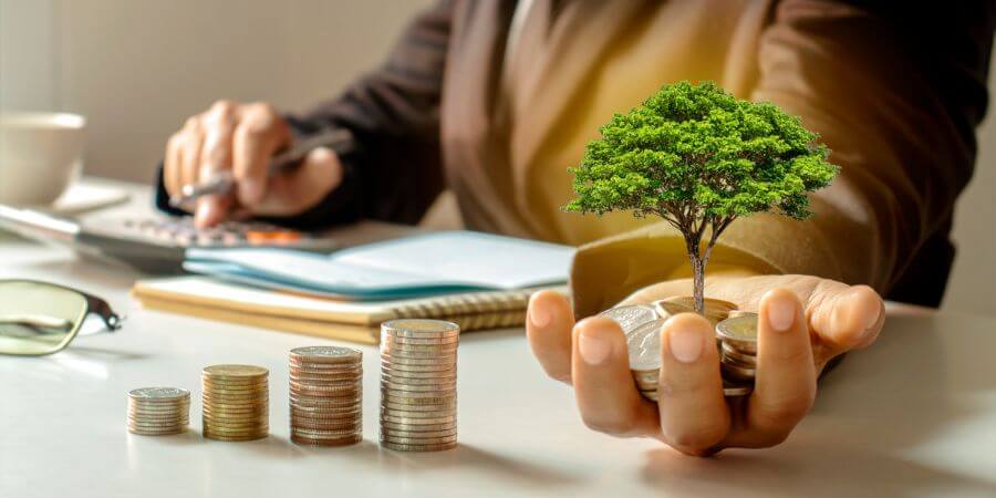 Wealth Management